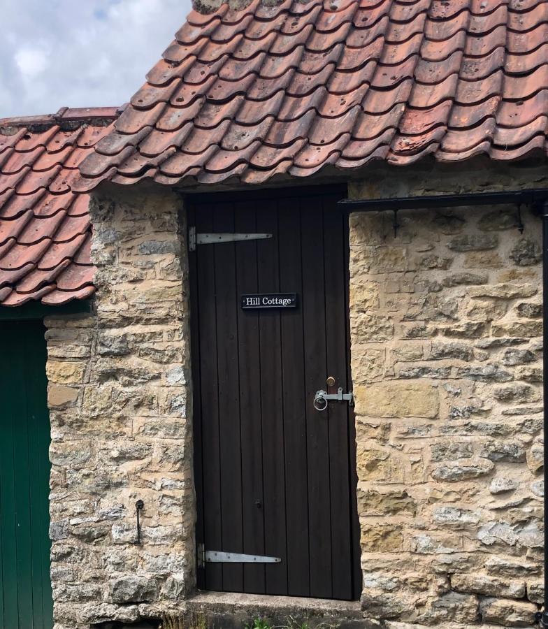 Hill Cottage, Thornton-Le-Dale Thornton Dale Exteriör bild